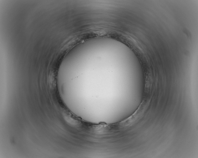 X0000110880136200907021505