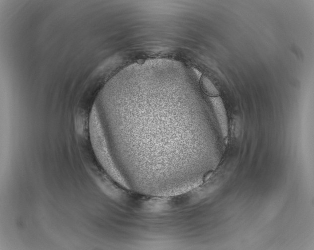 X0000110880138200907021505
