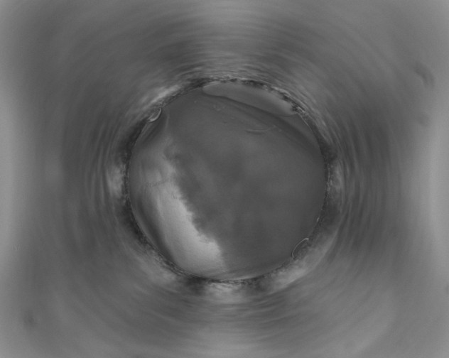 X0000110880139200907021504
