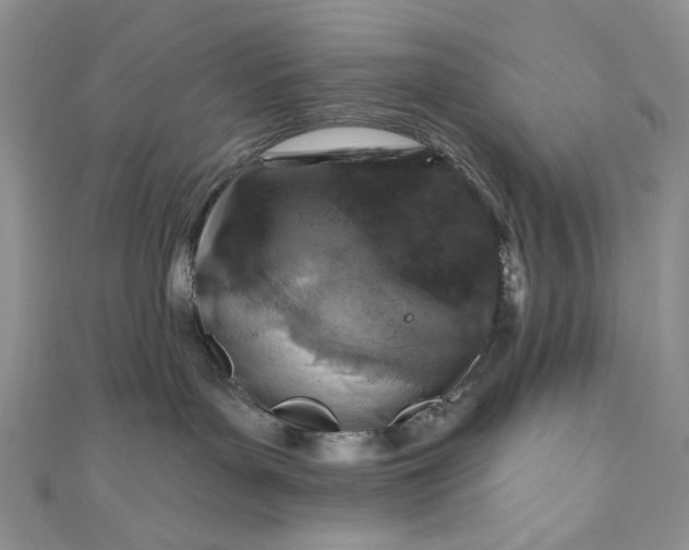 X0000110880143200907021504