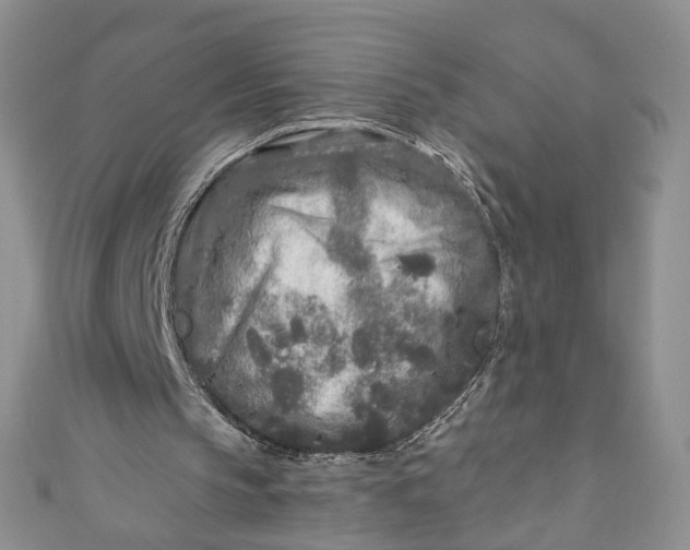 X0000110880145200907021504