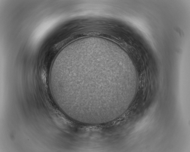 X0000110880146200907021504
