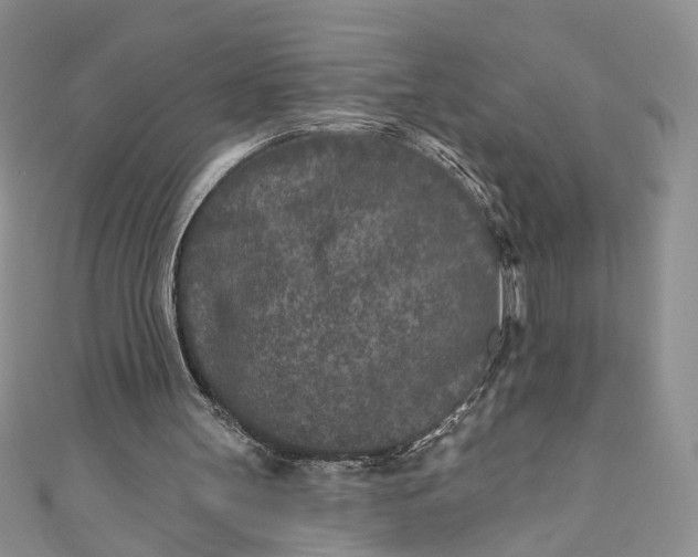 X0000110880147200907021504