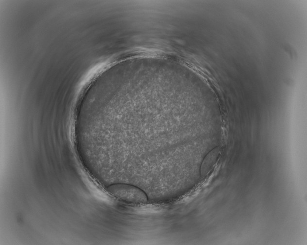 X0000110880149200907021504