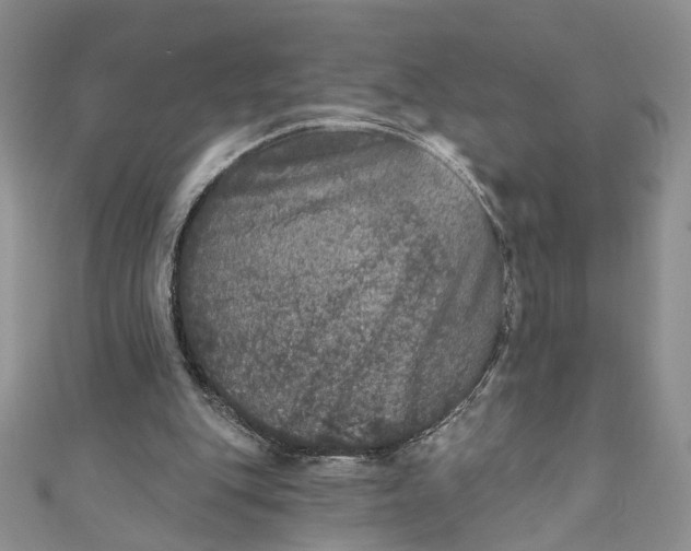X0000110880151200907021504