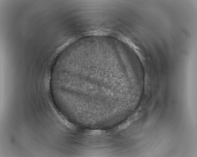 X0000110880153200907021504