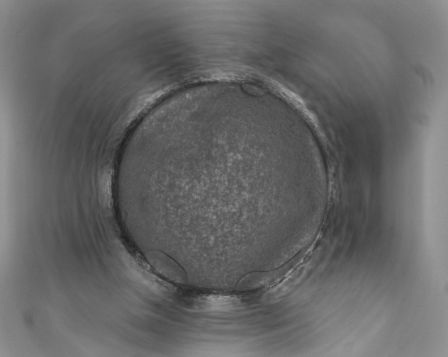 X0000110880154200907021504