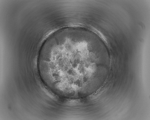 X0000110880155200907021504