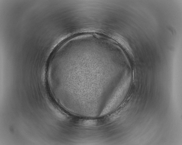 X0000110880156200907021504