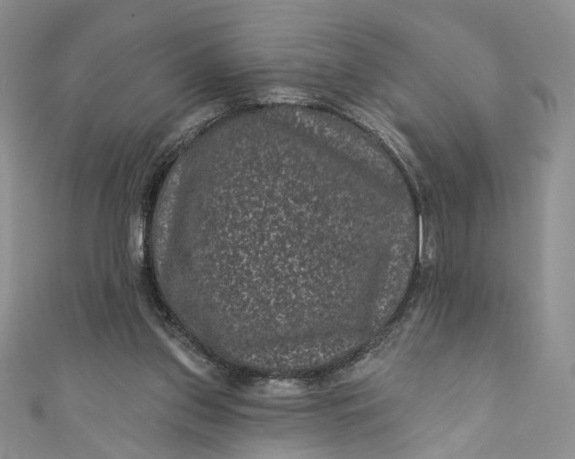 X0000110880157200907021504