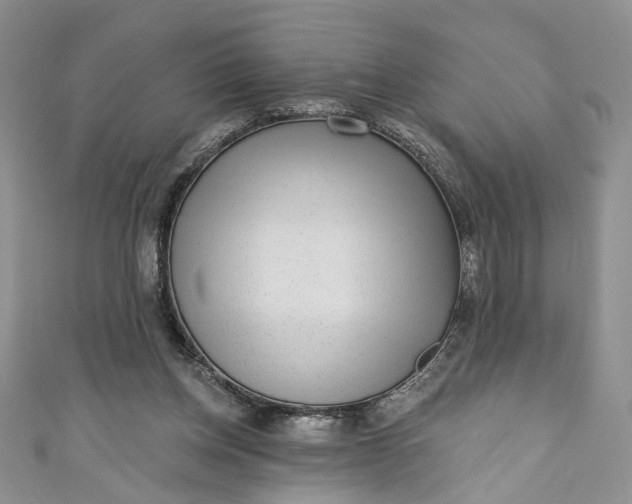 X0000110880158200907021504