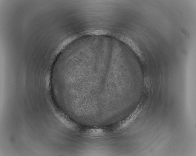 X0000110880159200907021504