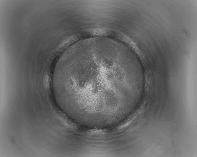 X0000110880161200907021504