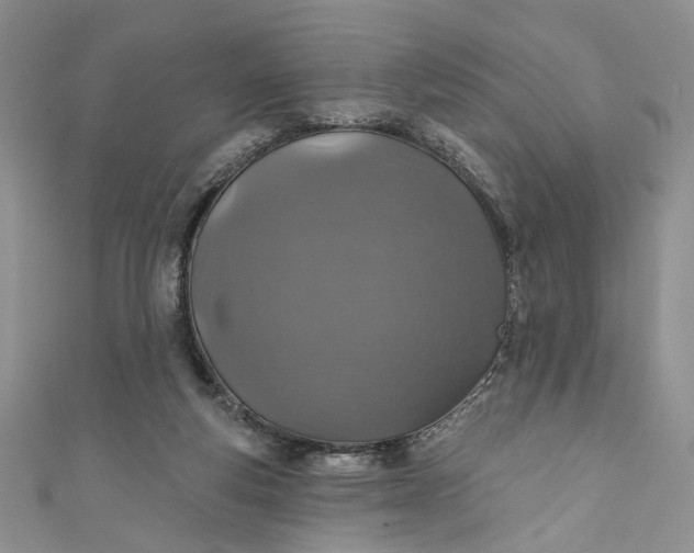 X0000110880163200907021504