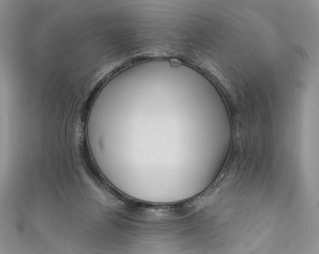 X0000110880164200907021504
