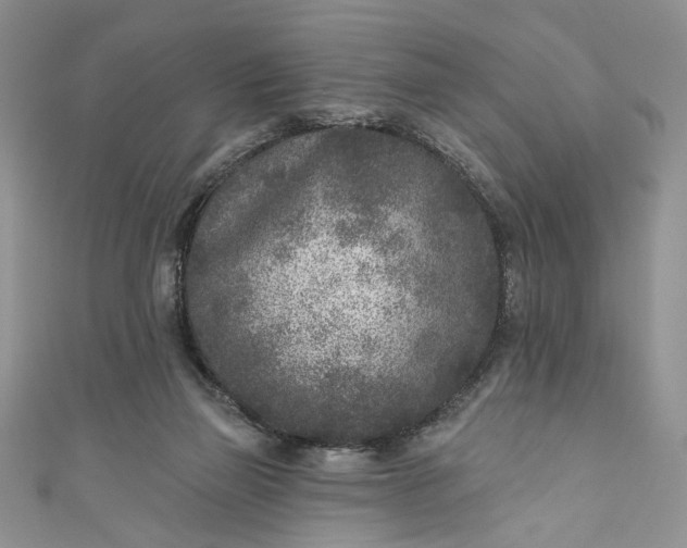 X0000110880165200907021504