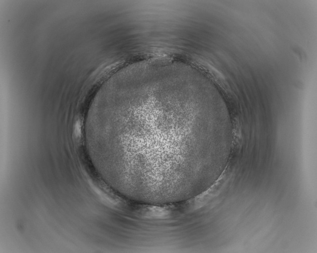 X0000110880166200907021504