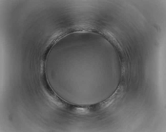 X0000110880167200907021504