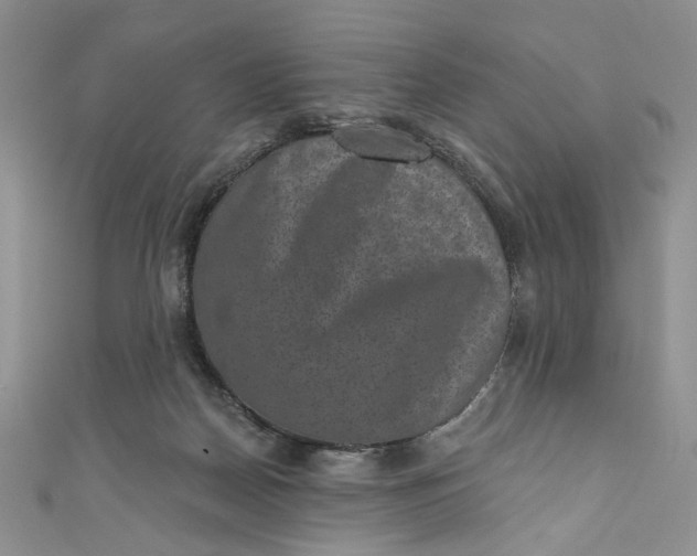 X0000110880170200907021504