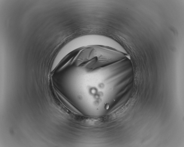 X0000110880172200907021504