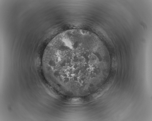 X0000110880173200907021504