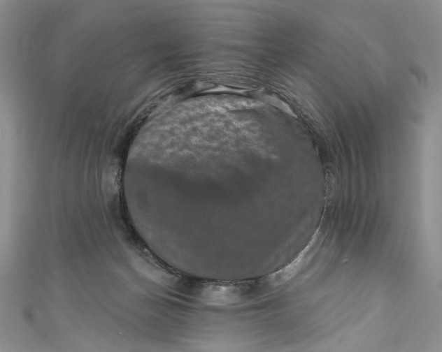 X0000110880174200907021504