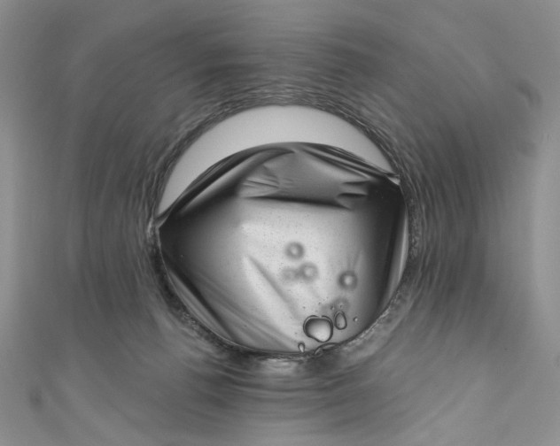 X0000110880176200907021504