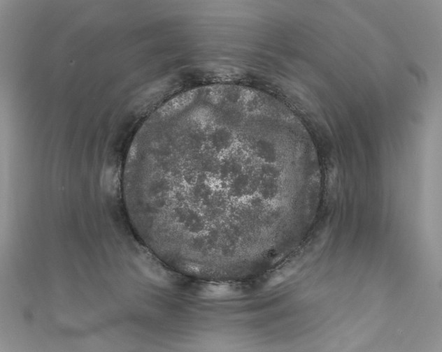 X0000110880177200907021504