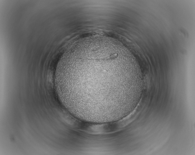 X0000110880178200907021504