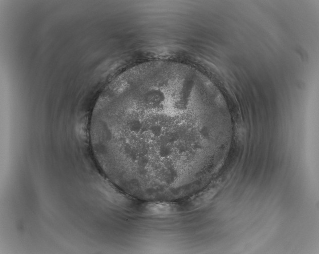 X0000110880181200907021504