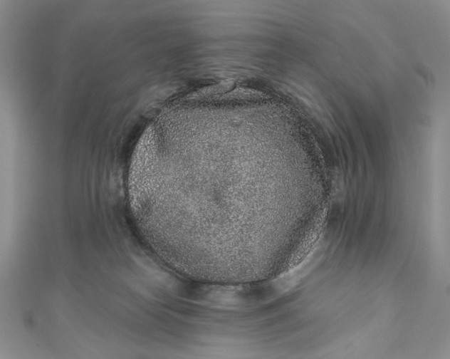 X0000110880182200907021504