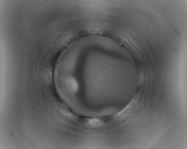 X0000110880183200907021504