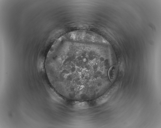 X0000110880185200907021504