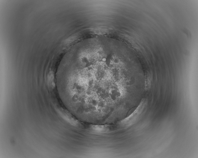 X0000110880187200907021504