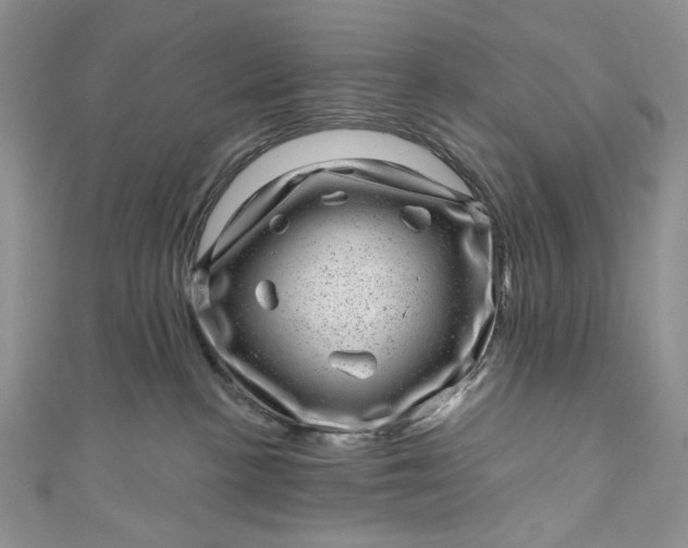 X0000110880188200907021504