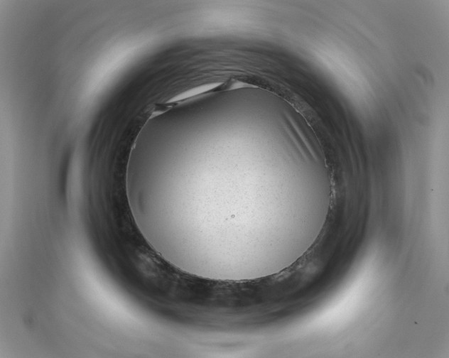 X0000110880190200907021504