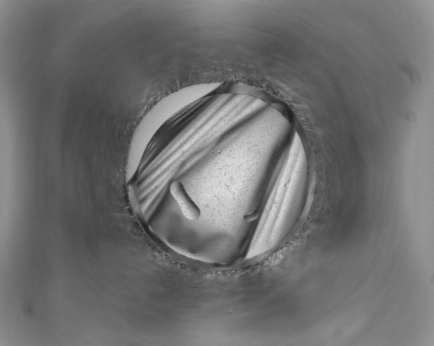 X0000110880192200907021504