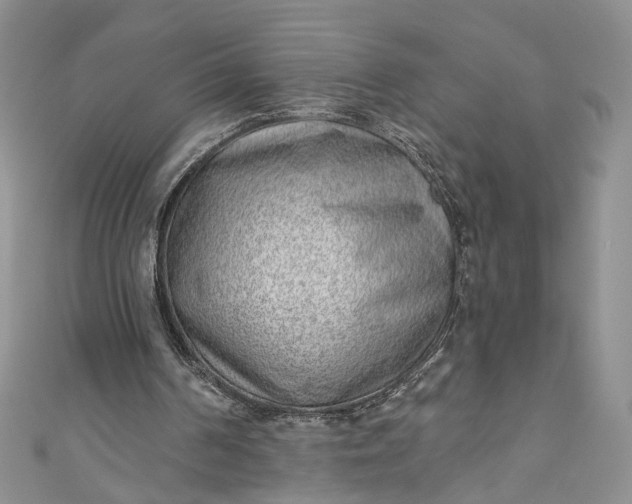 X0000110880194200907021504