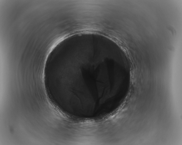 X0000110880196200907021504