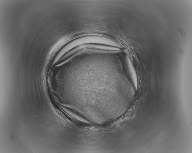 X0000110880197200907021504