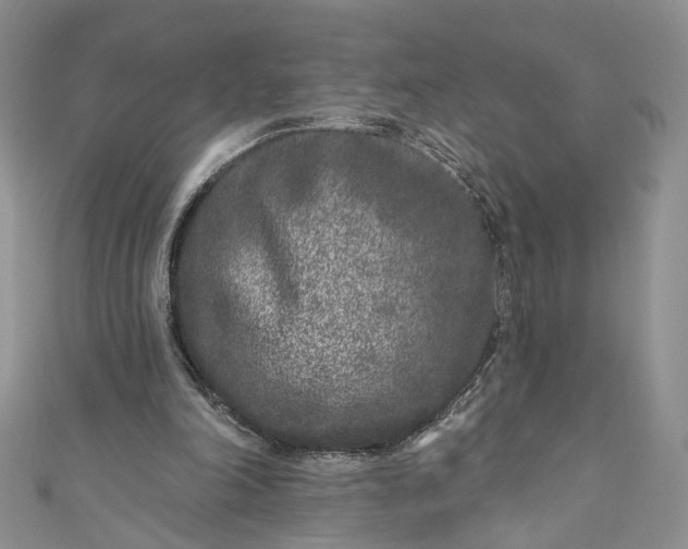 X0000110880198200907021504