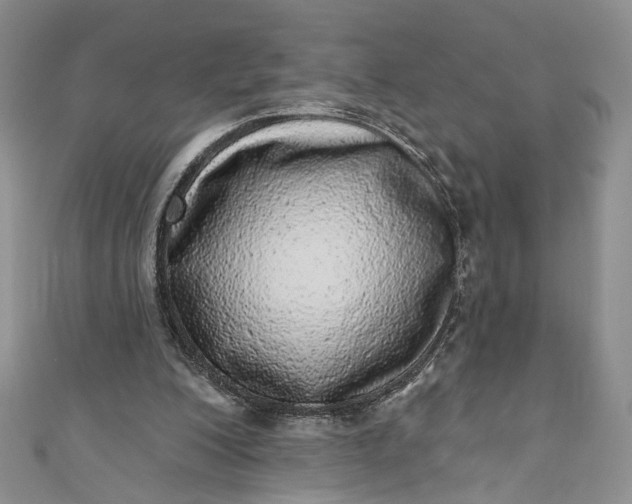 X0000110880200200907021504