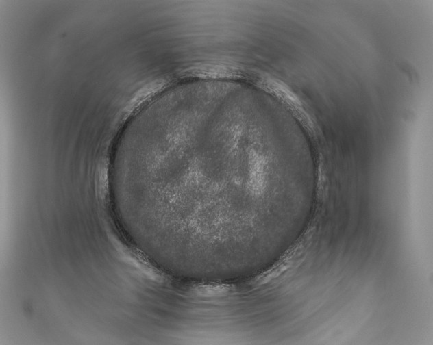 X0000110880202200907021504