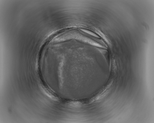 X0000110880203200907021504