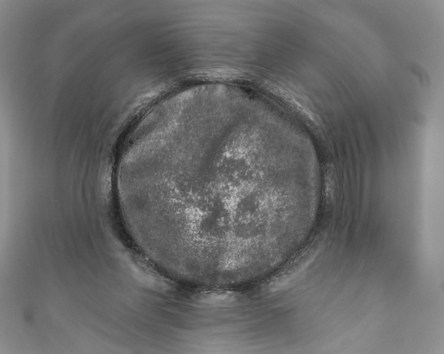 X0000110880206200907021504