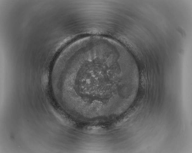 X0000110880208200907021504