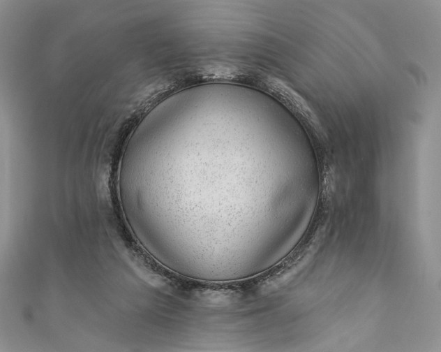 X0000110880209200907021504