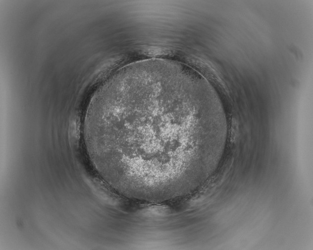 X0000110880210200907021504