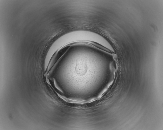 X0000110880211200907021504