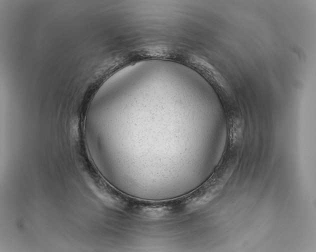 X0000110880213200907021504